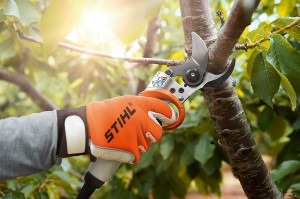 STIHL